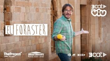 ElForaster%20352x198px