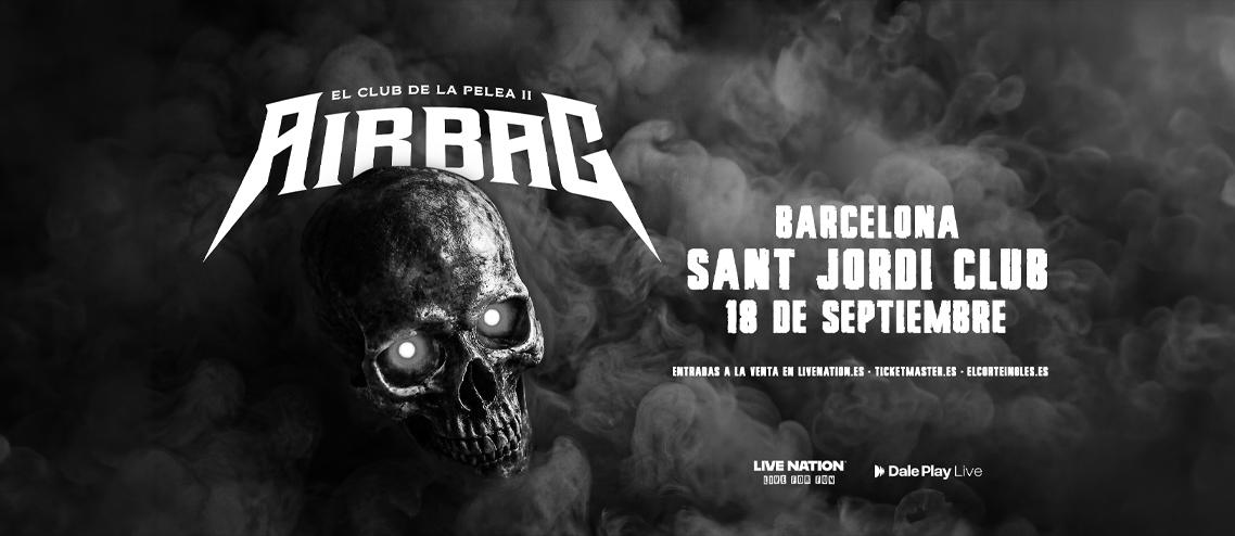 Airbag%201138X494