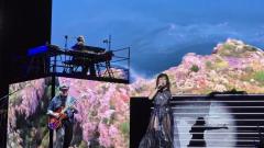 Amaral Sant Jordi Club